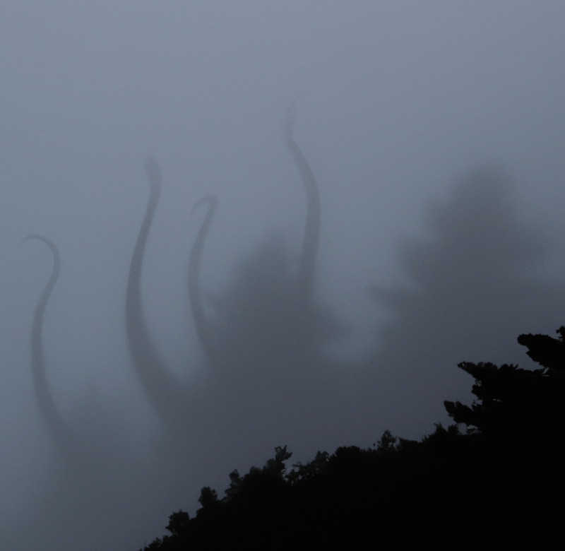 suggestive pictures of plants 8
